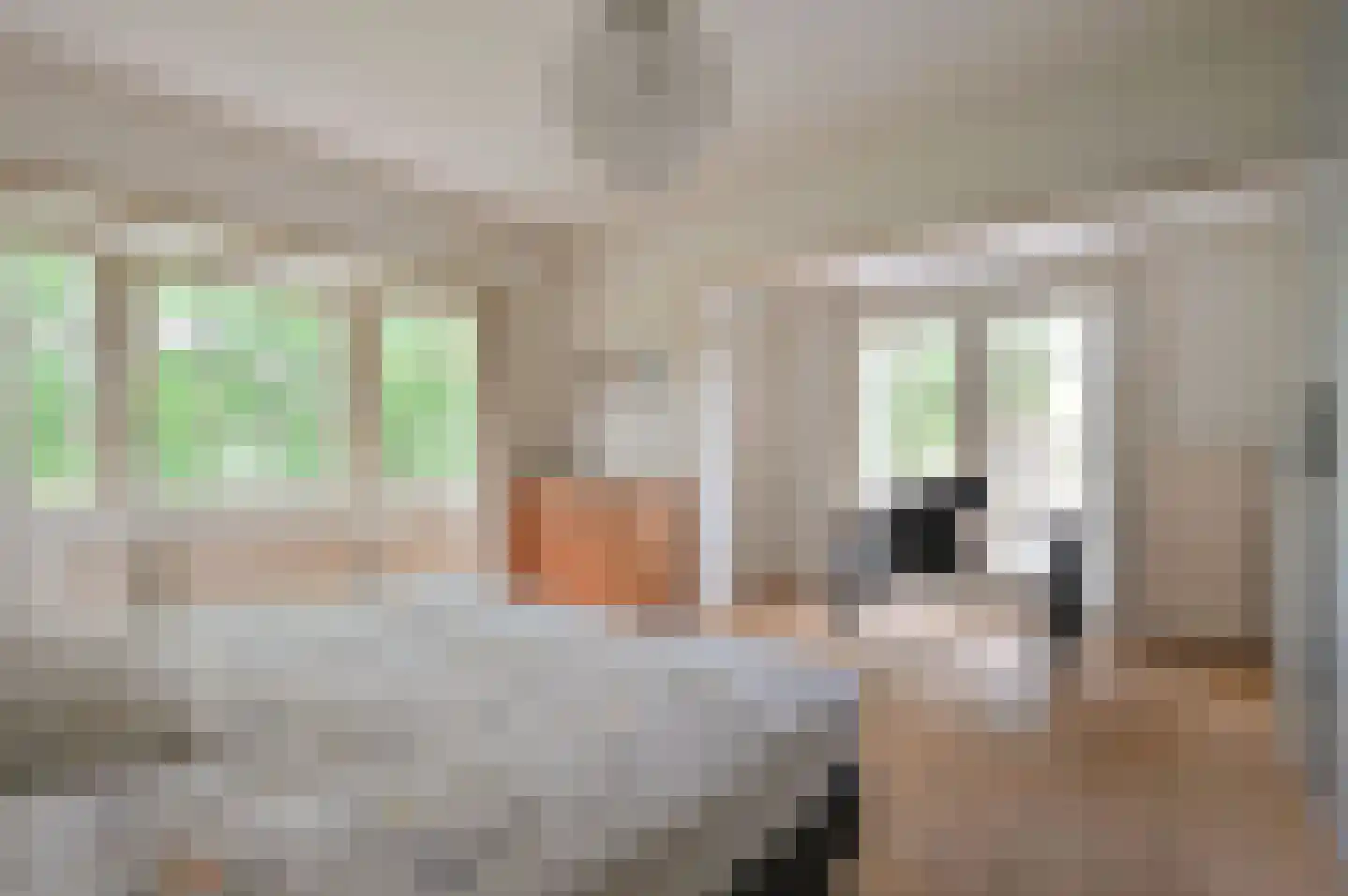 Nieuwe Hilversumseweg 68 Bussum thumbnail 16
