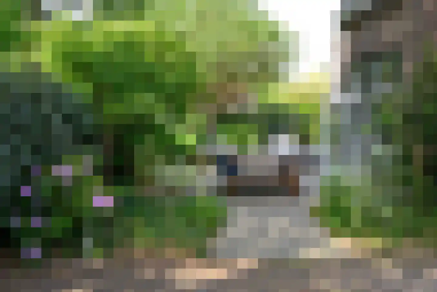 Nieuwe Hilversumseweg 68 Bussum thumbnail 24
