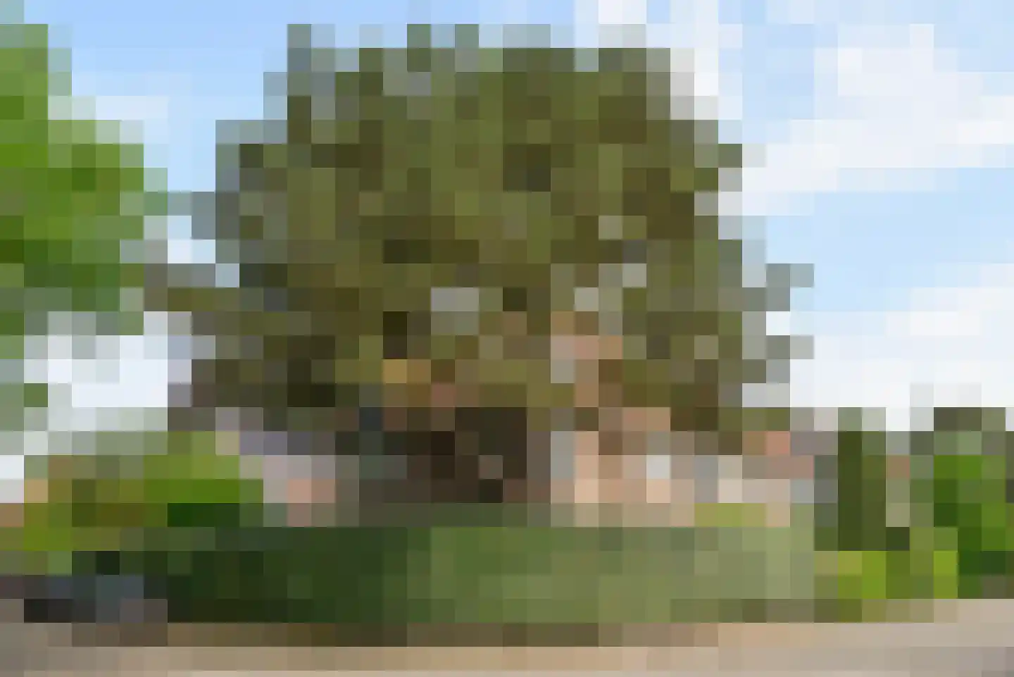 Nieuwe Hilversumseweg 68 Bussum thumbnail 30