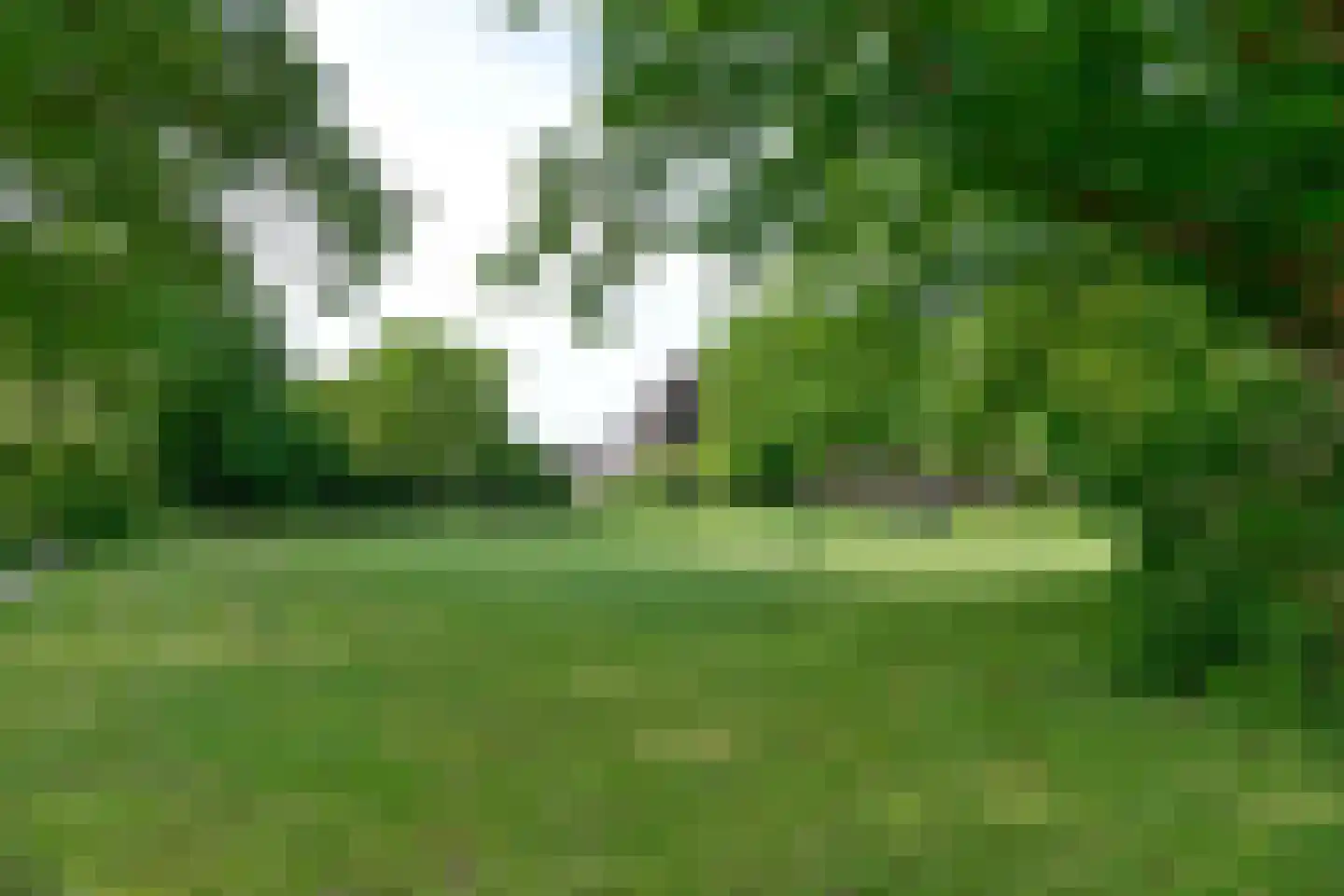 Nieuwe Hilversumseweg 68 Bussum thumbnail 4