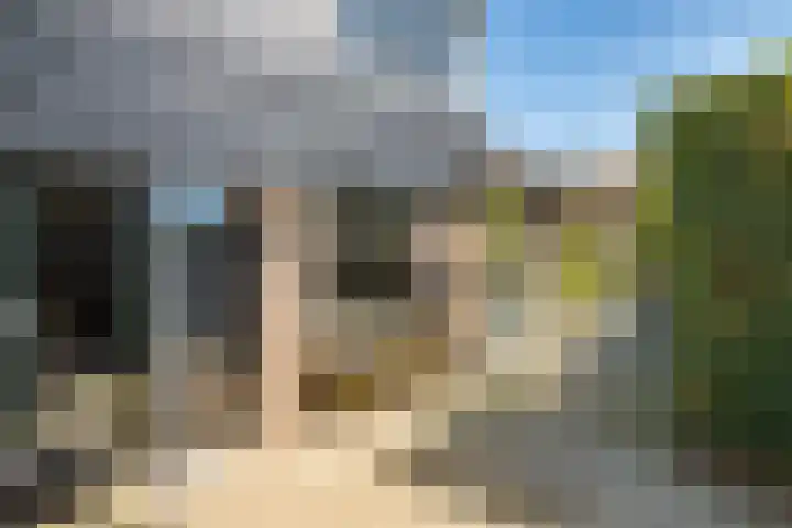 Nieuwe Hoek 4 Wergea thumbnail 105
