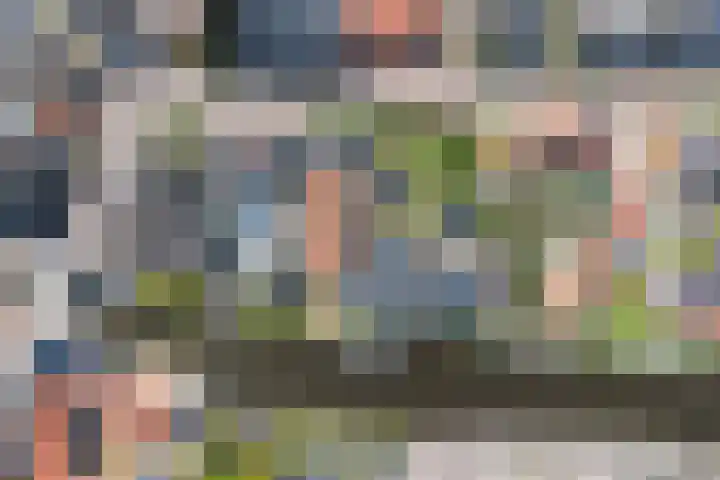 Nieuwe Hoek 4 Wergea thumbnail 106