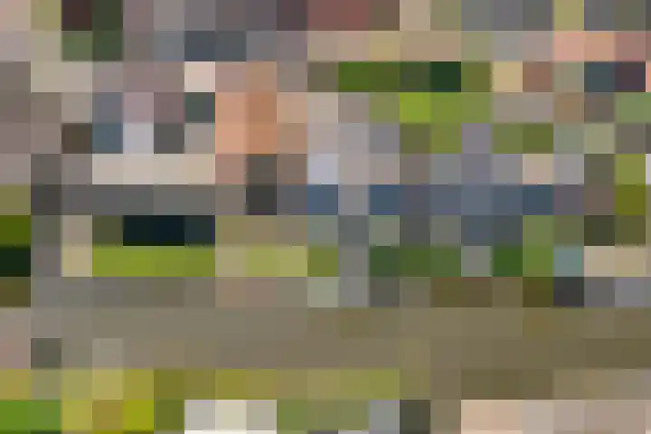 Nieuwe Hoek 4 Wergea thumbnail 107