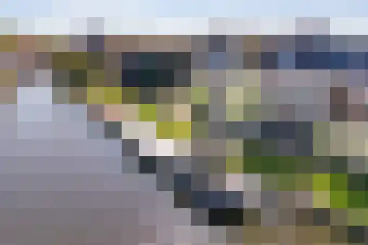Nieuwe Hoek 4 Wergea thumbnail 11