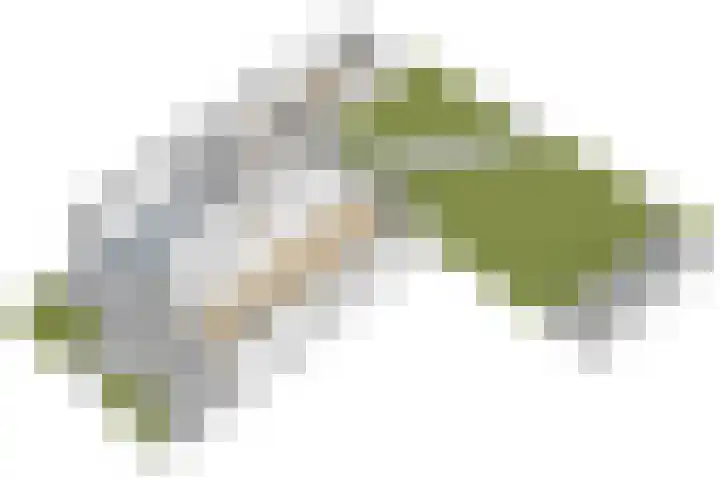 Nieuwe Hoek 4 Wergea thumbnail 117