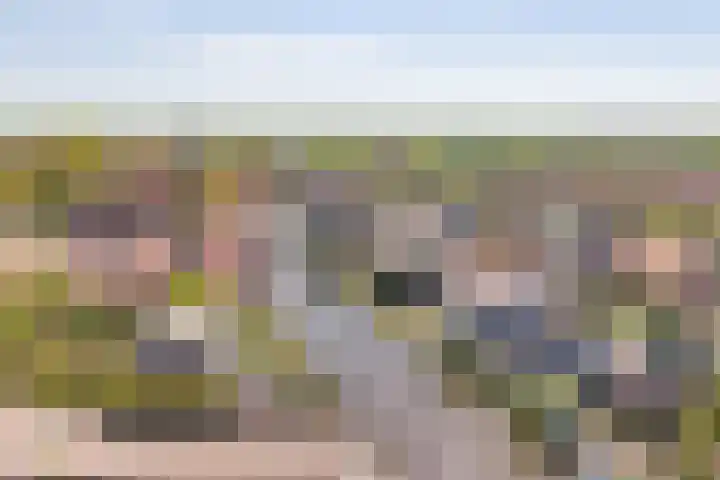 Nieuwe Hoek 4 Wergea thumbnail 12