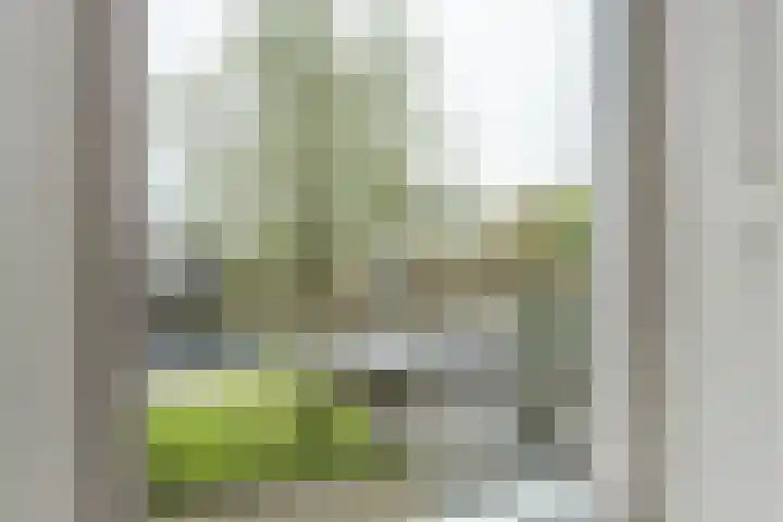 Nieuwe Hoek 4 Wergea thumbnail 18