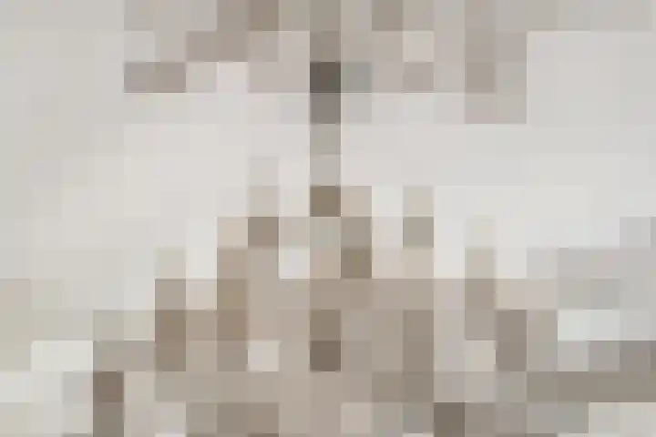 Nieuwe Hoek 4 Wergea thumbnail 31