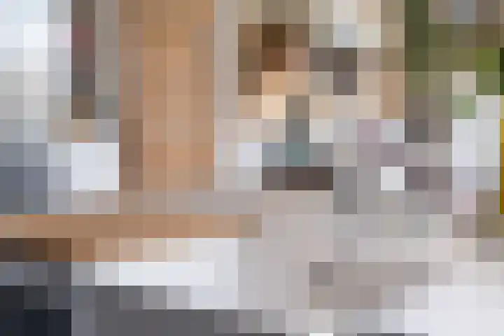 Nieuwe Hoek 4 Wergea thumbnail 34