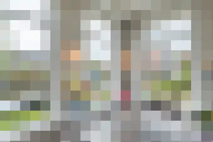 Nieuwe Hoek 4 Wergea thumbnail 37