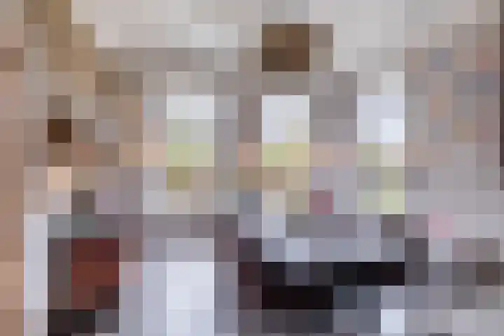 Nieuwe Hoek 4 Wergea thumbnail 42