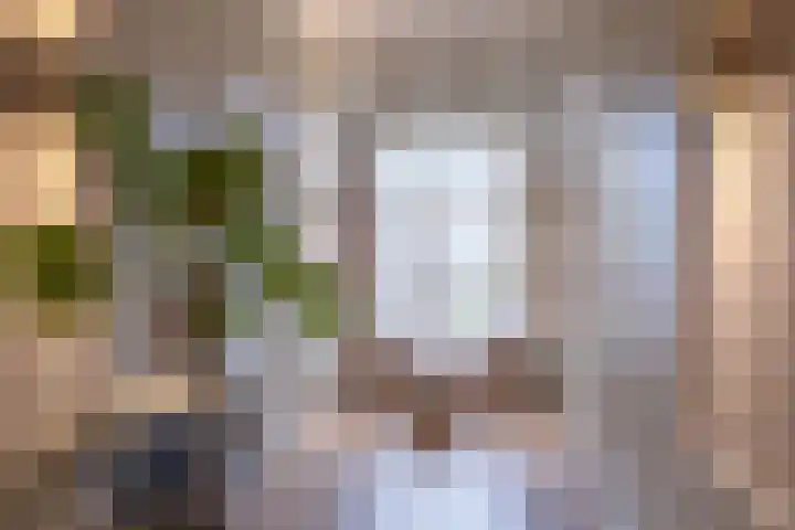 Nieuwe Hoek 4 Wergea thumbnail 51