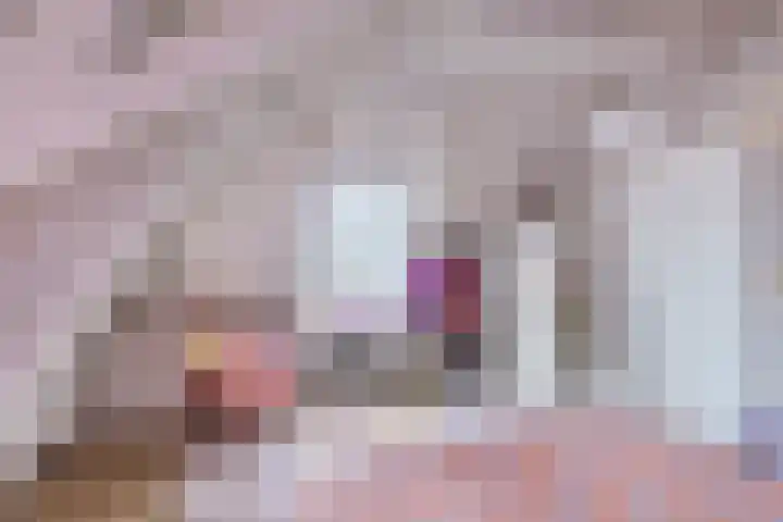 Nieuwe Hoek 4 Wergea thumbnail 52