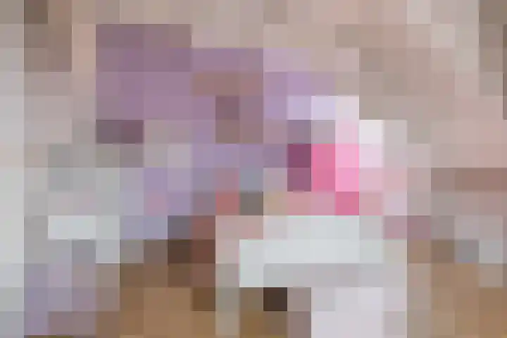 Nieuwe Hoek 4 Wergea thumbnail 54