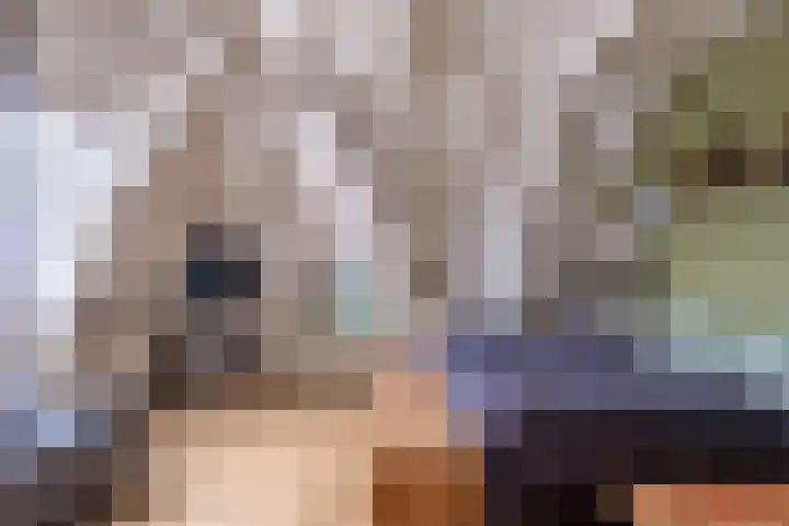 Nieuwe Hoek 4 Wergea thumbnail 59