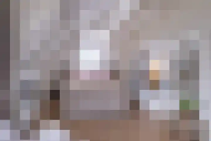 Nieuwe Hoek 4 Wergea thumbnail 63