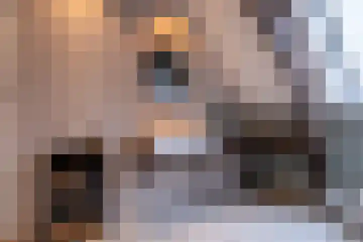 Nieuwe Hoek 4 Wergea thumbnail 68