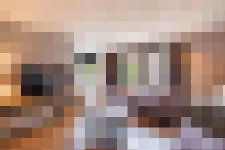 Nieuwe Hoek 4 Wergea thumbnail 76
