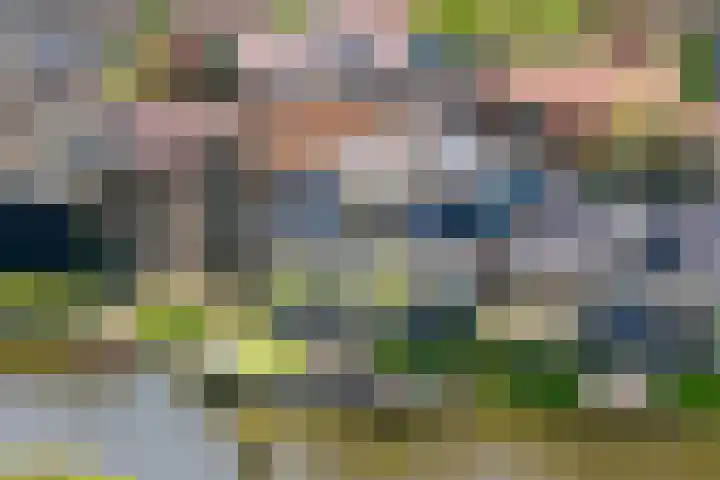 Nieuwe Hoek 4 Wergea thumbnail 8