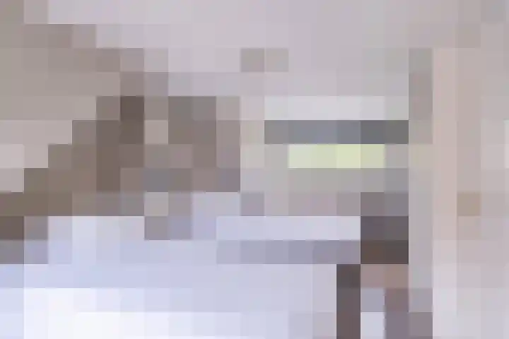Nieuwe Hoek 4 Wergea thumbnail 85