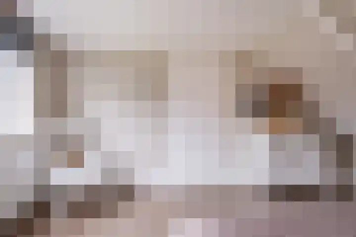 Nieuwe Hoek 4 Wergea thumbnail 87