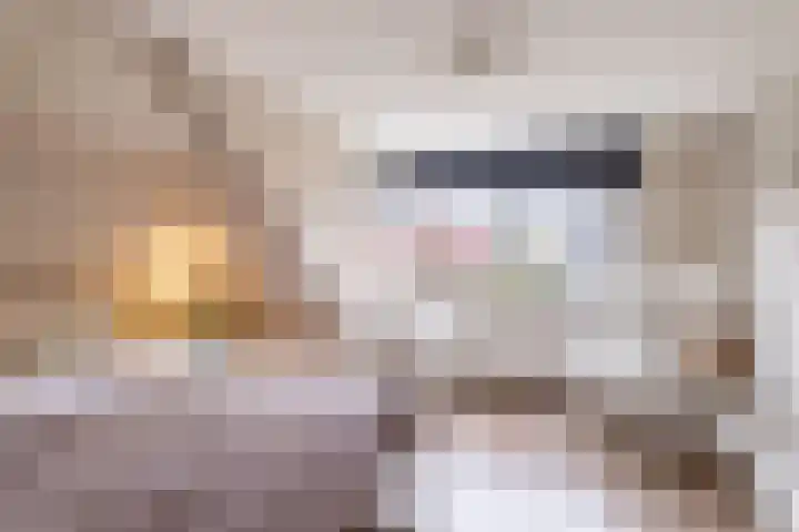 Nieuwe Hoek 4 Wergea thumbnail 88