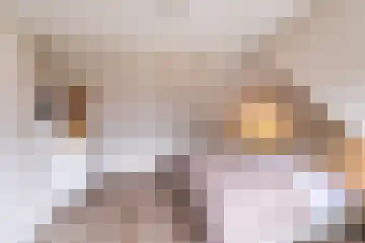 Nieuwe Hoek 4 Wergea thumbnail 89