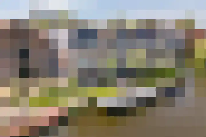 Nieuwe Hoek 4 Wergea thumbnail 9