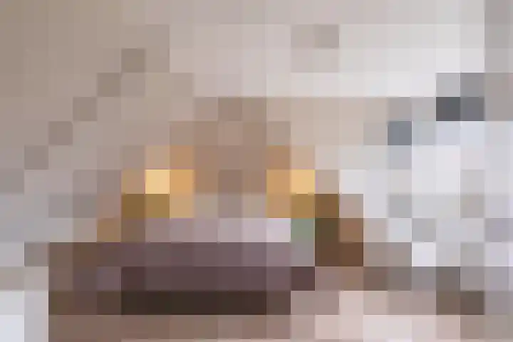 Nieuwe Hoek 4 Wergea thumbnail 90