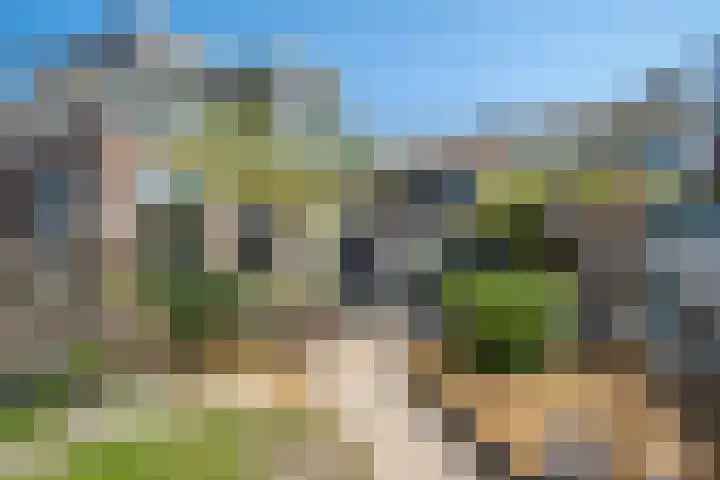 Nieuwe Hoek 4 Wergea thumbnail 97