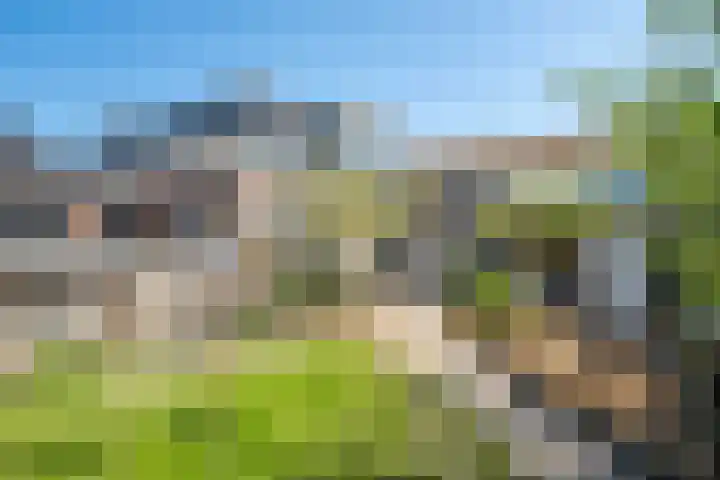 Nieuwe Hoek 4 Wergea thumbnail 98