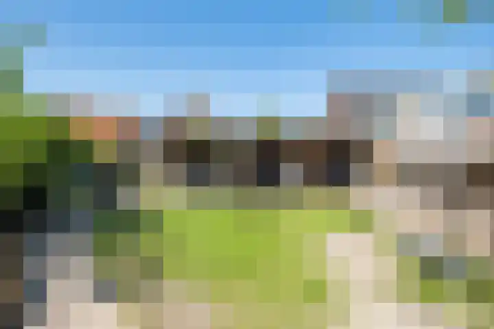 Nieuwe Hoek 4 Wergea thumbnail 99