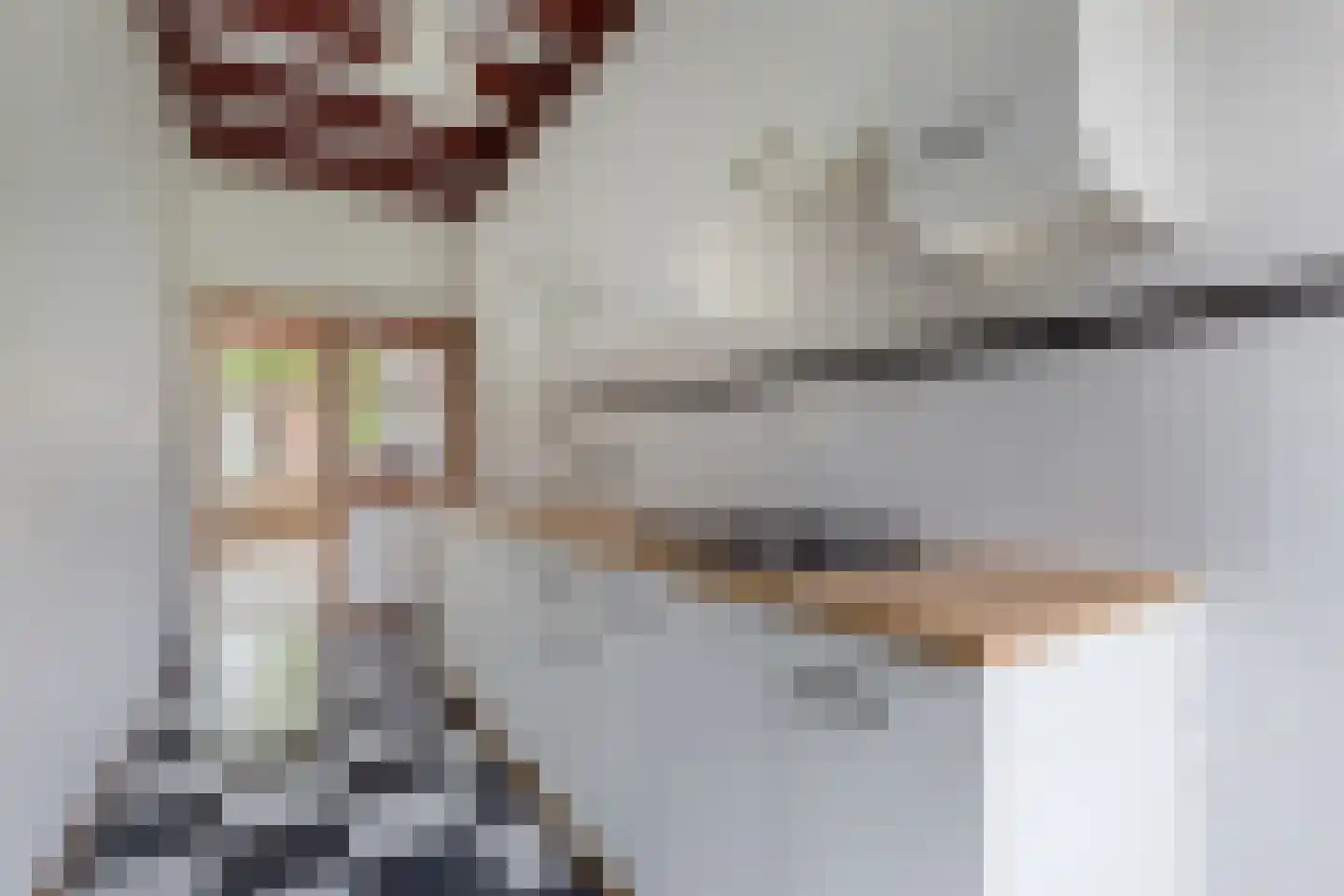 Nieuwe Hof 8 Franeker thumbnail 11