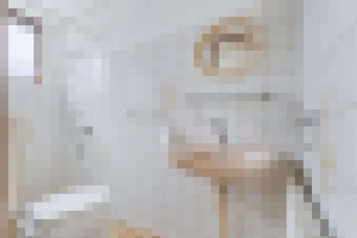 Nieuwe Hof 8 Franeker thumbnail 25