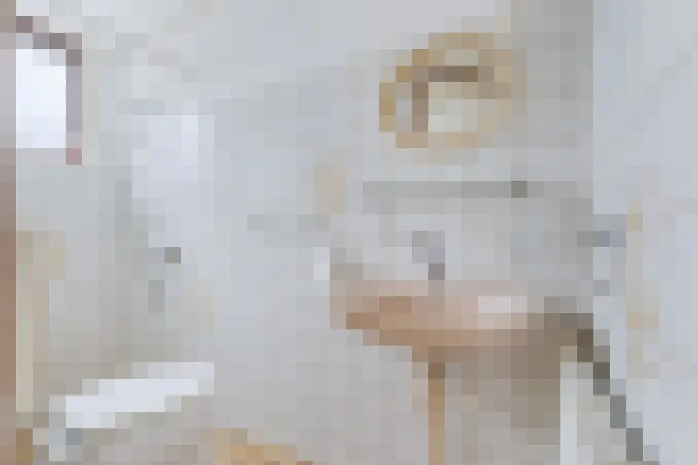 Nieuwe Hof 8 Franeker thumbnail 26