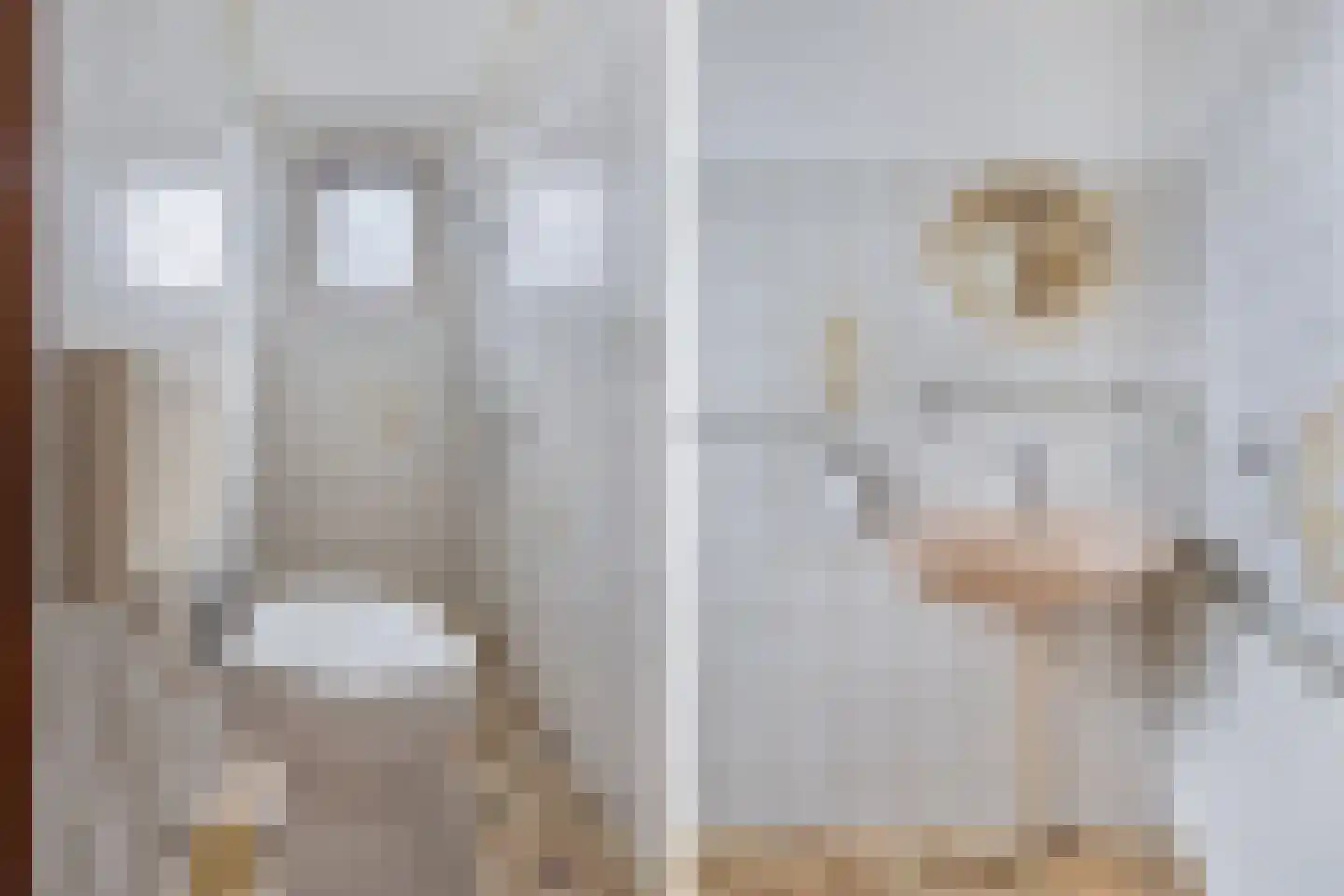Nieuwe Hof 8 Franeker thumbnail 26