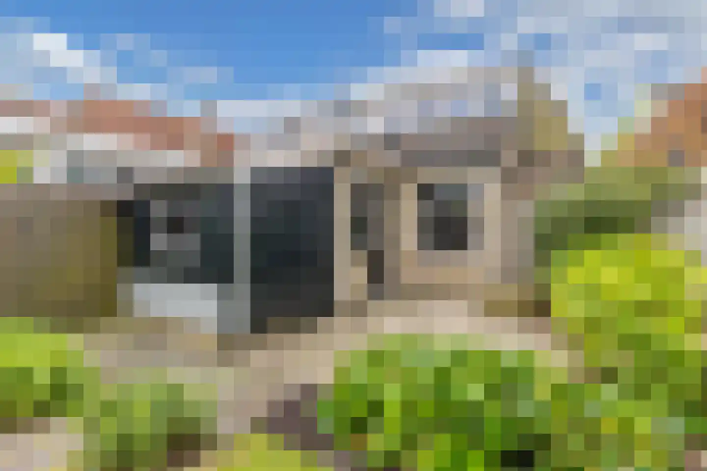 Nieuwe Hof 8 Franeker thumbnail 32