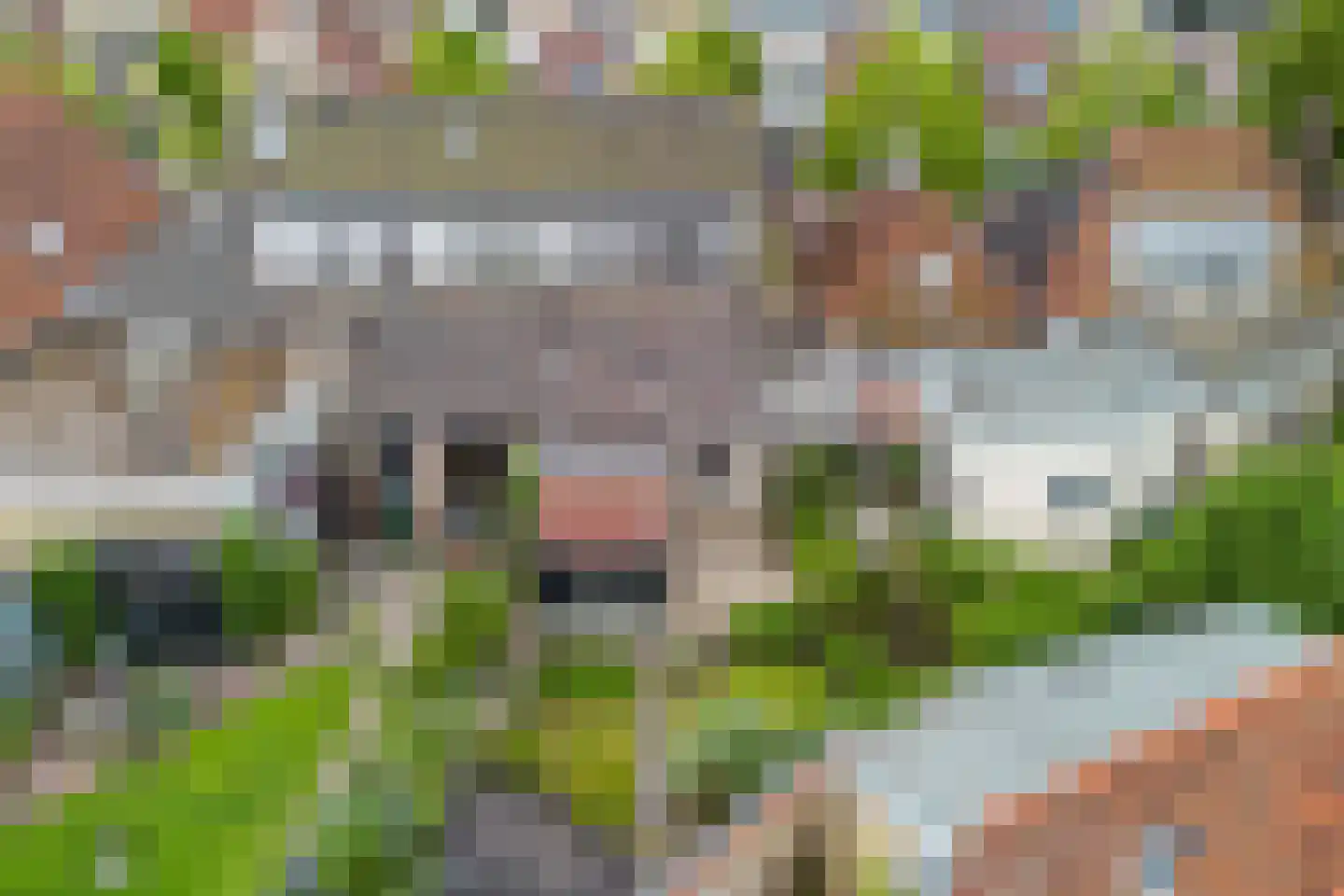 Nieuwe Hof 8 Franeker thumbnail 34