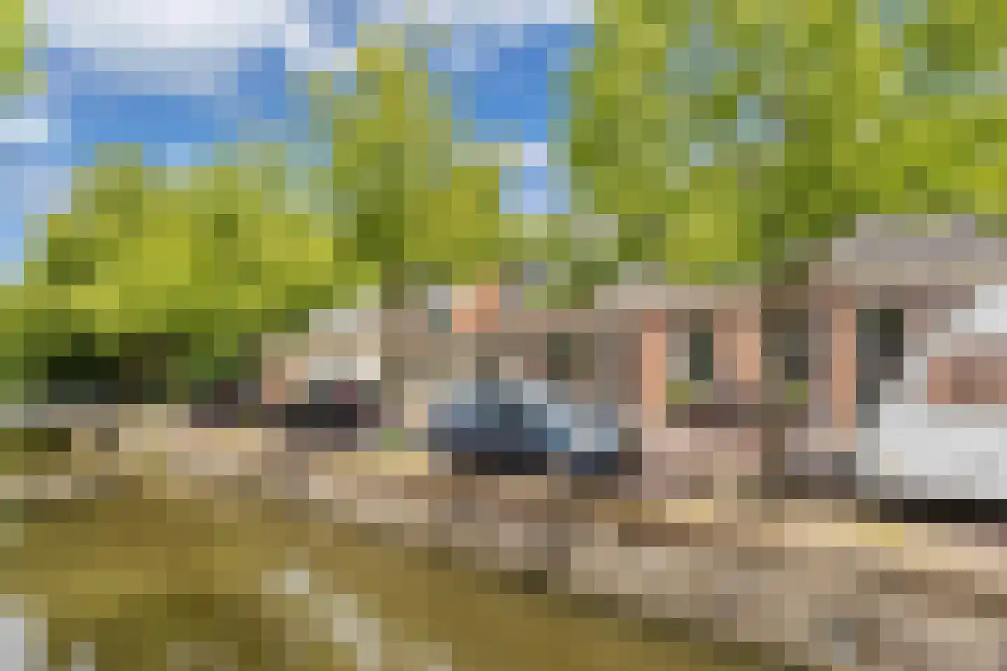 Nieuwe Hof 8 Franeker thumbnail 38