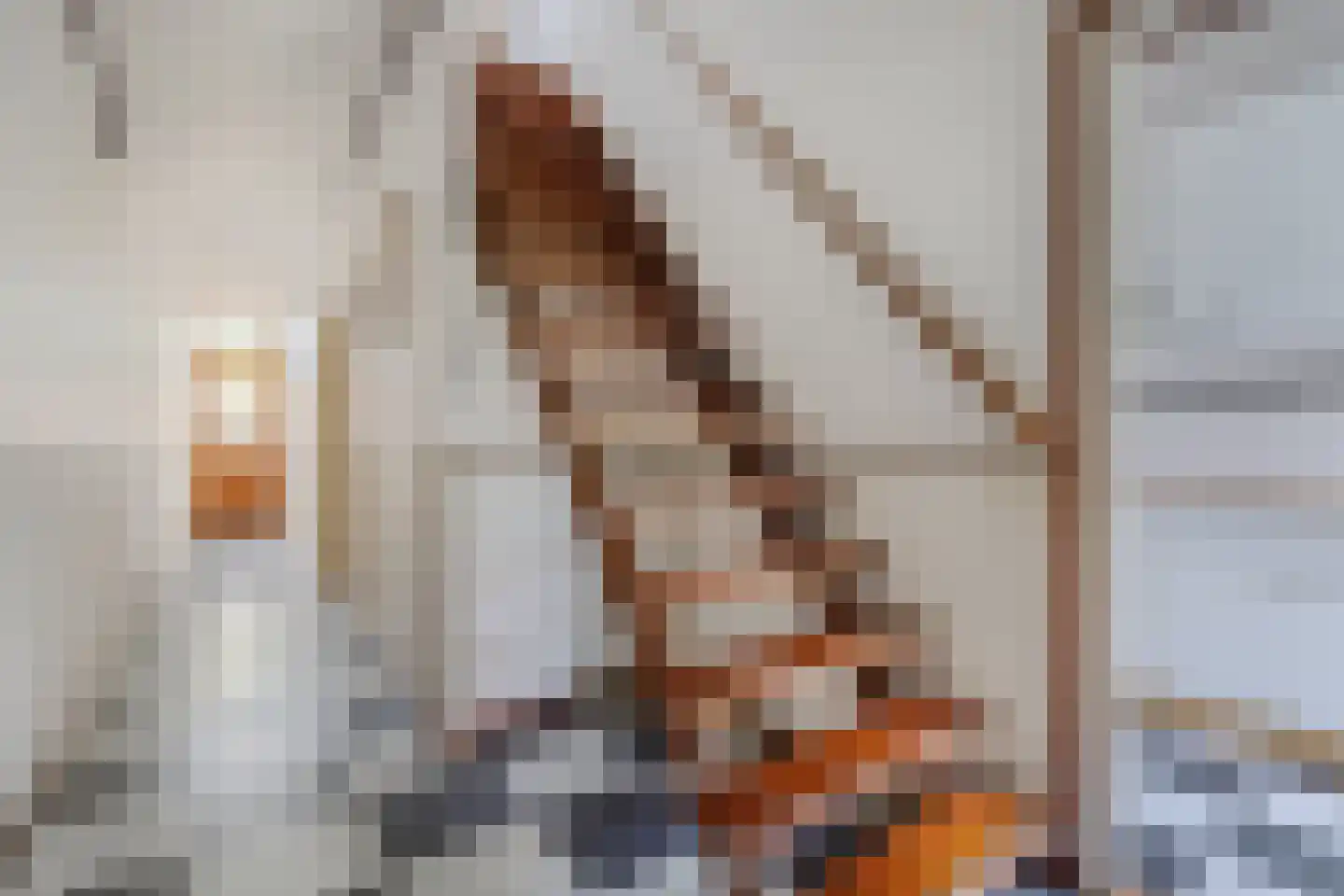 Nieuwe Hof 8 Franeker thumbnail 9