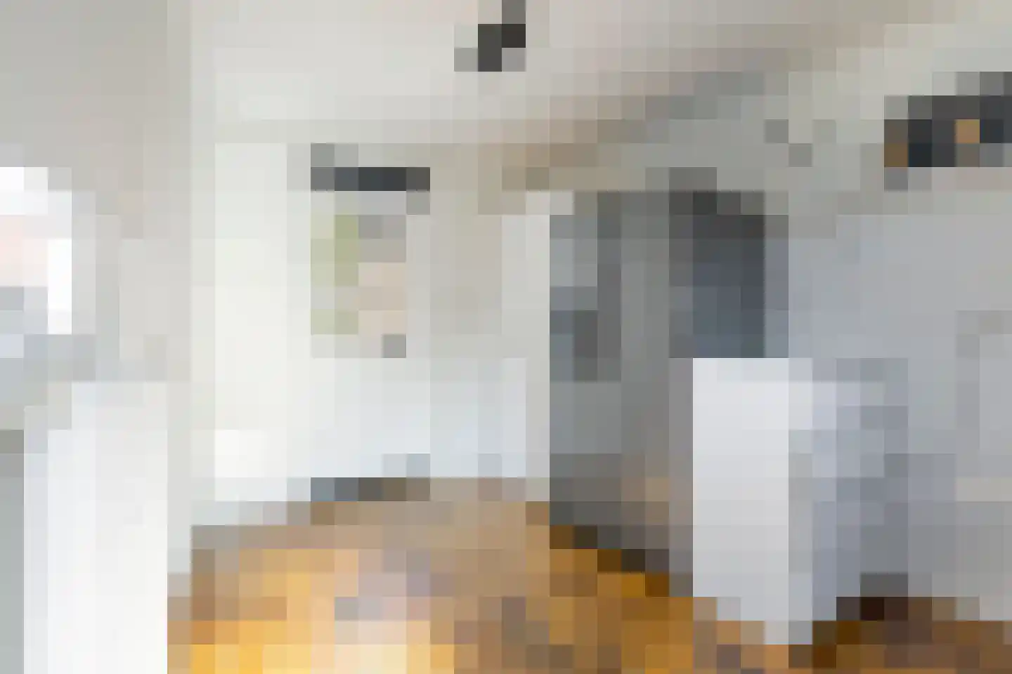 Nieuwe Hofstraat 26 Oss thumbnail 11
