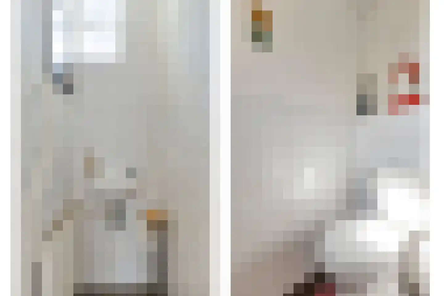 Nieuwe Hofstraat 26 Oss thumbnail 13