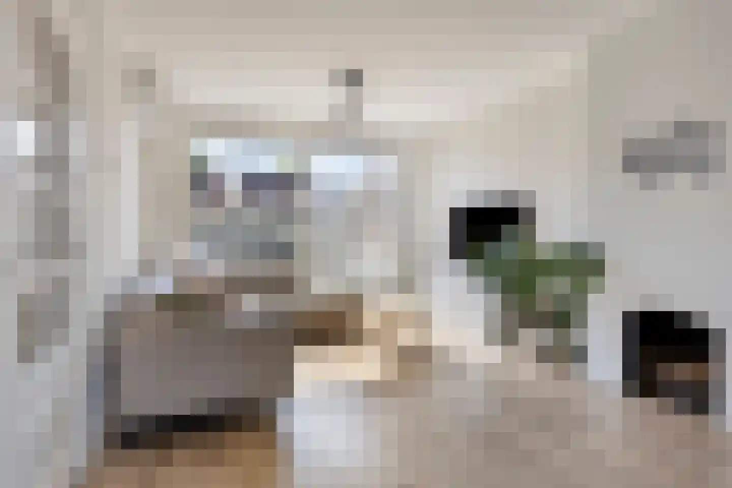 Nieuwe Hofstraat 26 Oss thumbnail 5