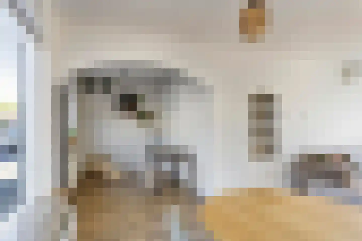 Nieuwe Hofstraat 26 Oss thumbnail 8