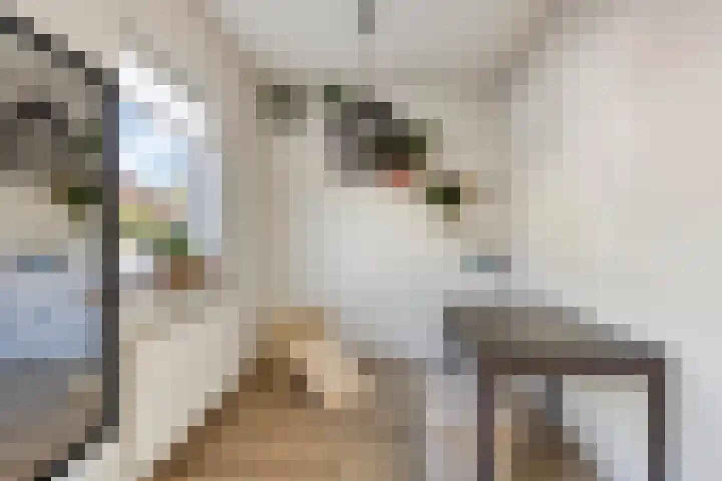 Nieuwe Hofstraat 26 Oss thumbnail 9