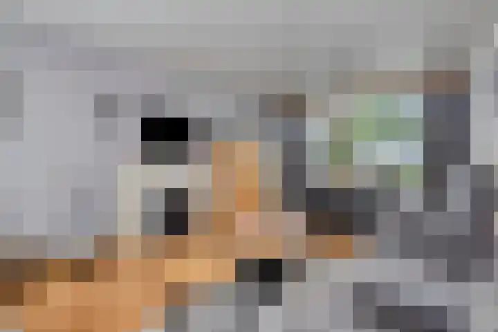 Nieuwe Hofstraat 32 Oss thumbnail 10