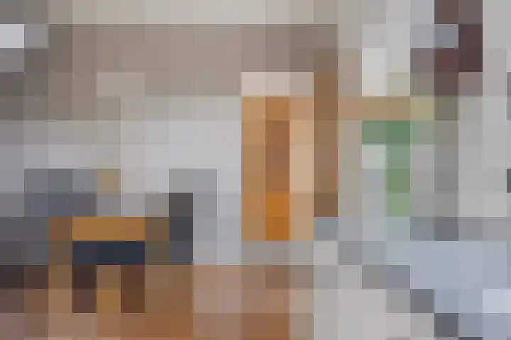 Nieuwe Hofstraat 32 Oss thumbnail 16