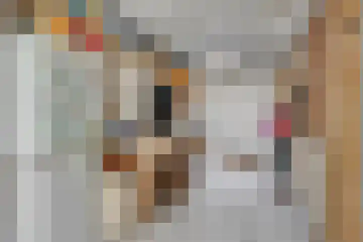 Nieuwe Hofstraat 32 Oss thumbnail 18