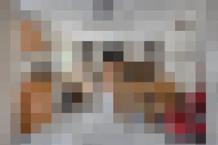 Nieuwe Hofstraat 32 Oss thumbnail 19