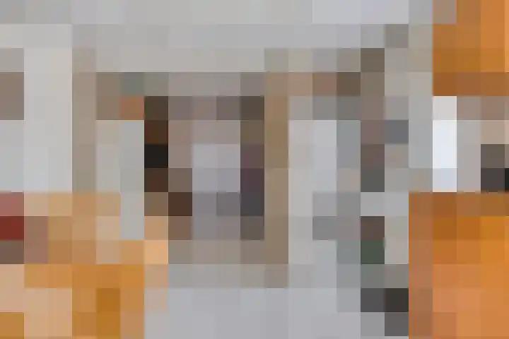 Nieuwe Hofstraat 32 Oss thumbnail 20